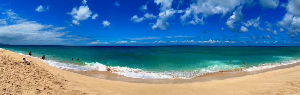 A Short Day Trip to Hawaii’s North Shore